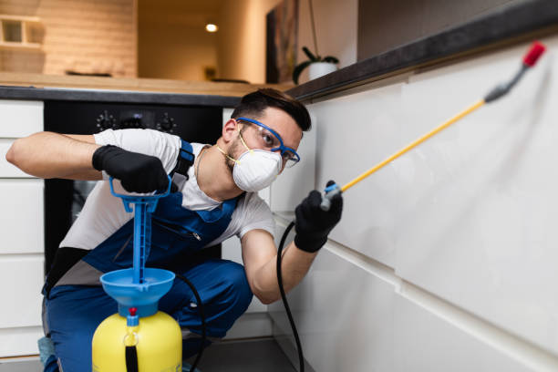 Best Termite Control Services  in Honokaa, HI