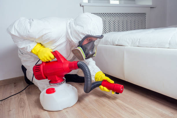 Best Local Pest Control Services  in Honokaa, HI