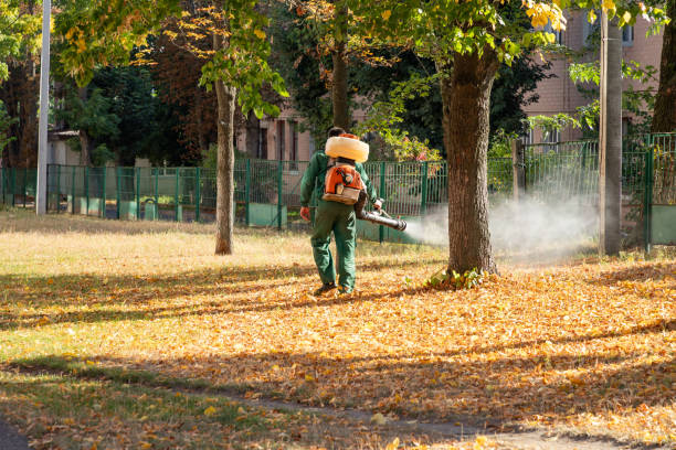 Best Exterminator Services  in Honokaa, HI