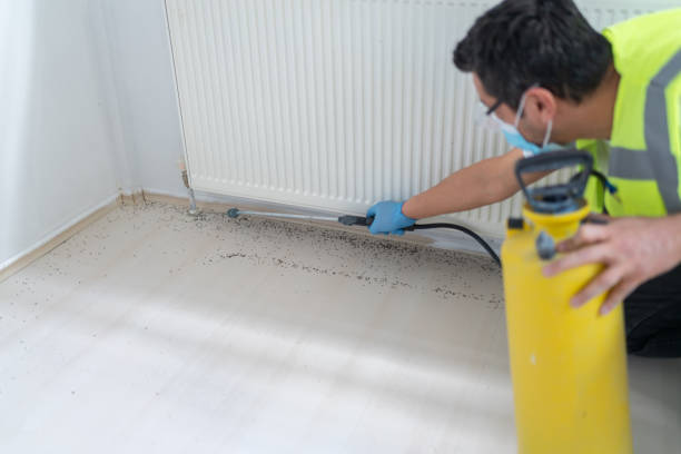 Best Pest Inspection Near Me  in Honokaa, HI